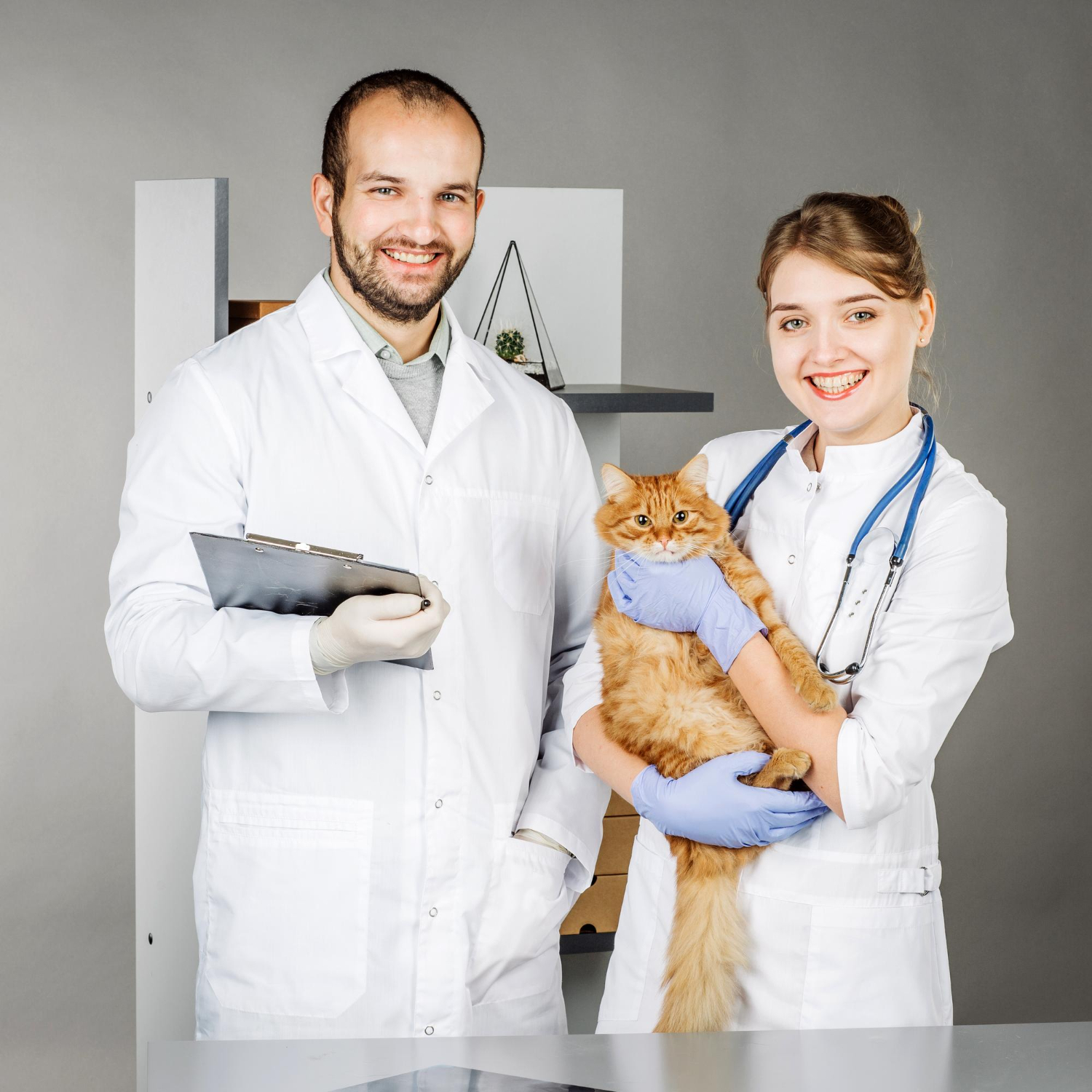 Veterinary
